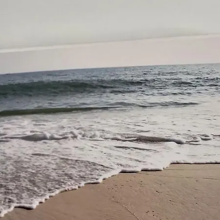 L'aube Ensoleillee Entre Plage Et Pinede Le Grau-du-Roi