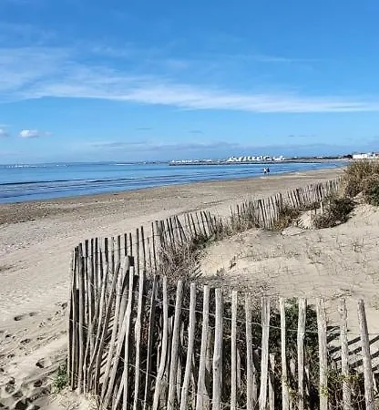 L'aube Ensoleillee Entre Et Pinede