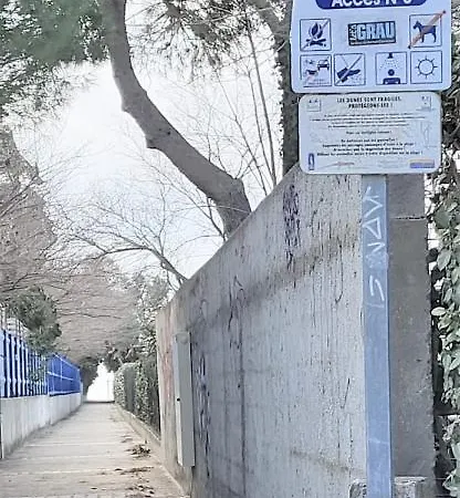 L'aube Ensoleillee Entre Et Pinede *